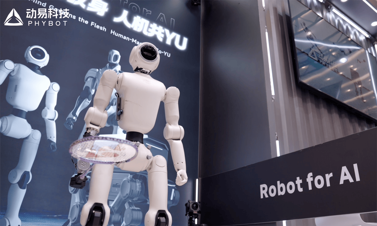Embodied and Dynamic Companion PHYBOT C Series